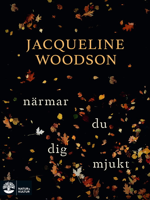Cover image for Närmar du dig mjukt